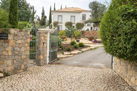 La Senhora Das Oliveiras Studio with Garden