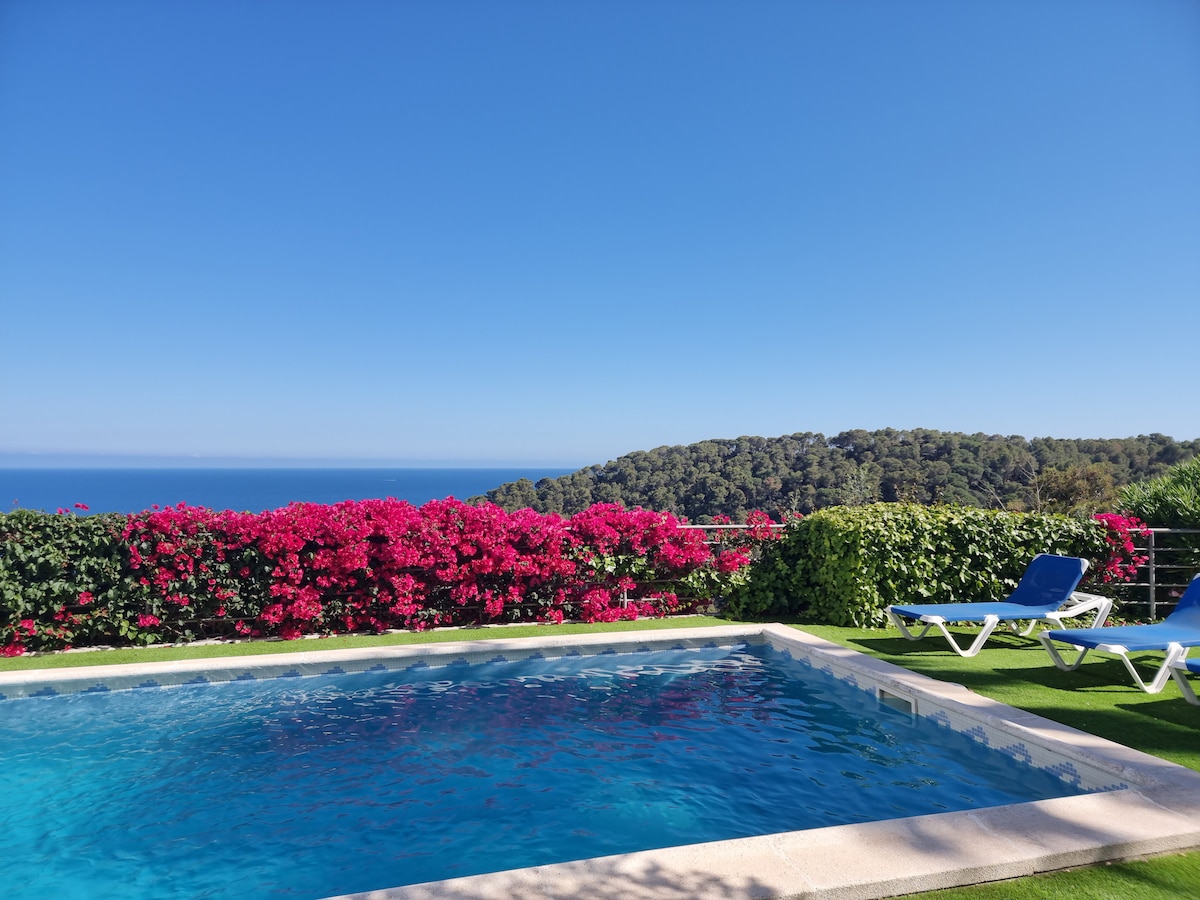 A swimming pool is surrounded by vibrant flowering plants, creating a colorful backdrop. Sun loungers are positioned nearby, providing a comfortable space to relax. In the distance, a view of the sea and lush green hills can be seen under a clear blue sky.
