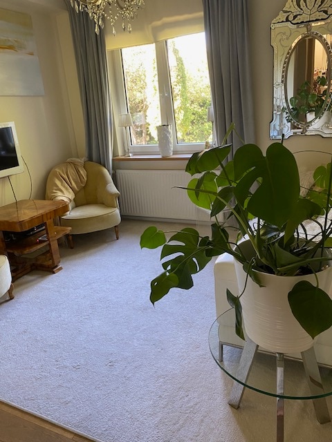 A well-lit living area features a large window surrounded by light curtains, allowing natural sunlight to illuminate the space. A potted plant on a glass table adds a touch of greenery, while a cozy armchair is positioned nearby. A television is mounted on the wall.