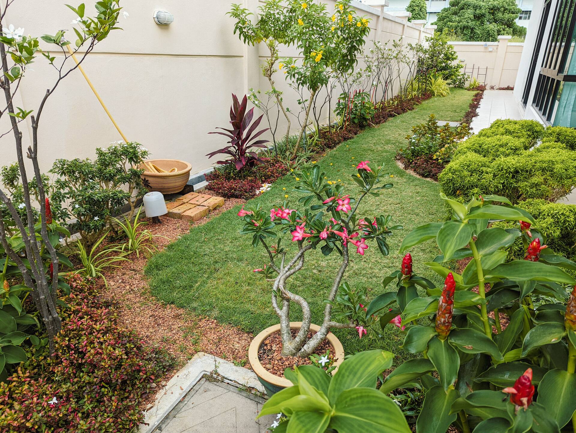 Charming 9: Ferringhi Luxury Garden Home — Foto 4