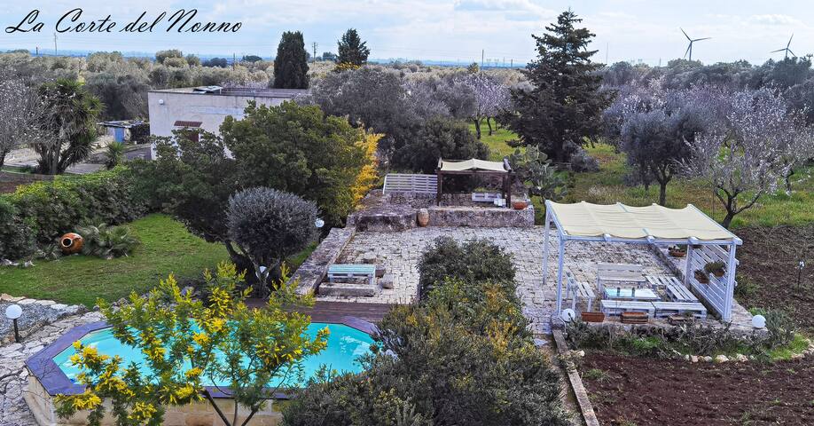 La corte del nonno gallery image 4