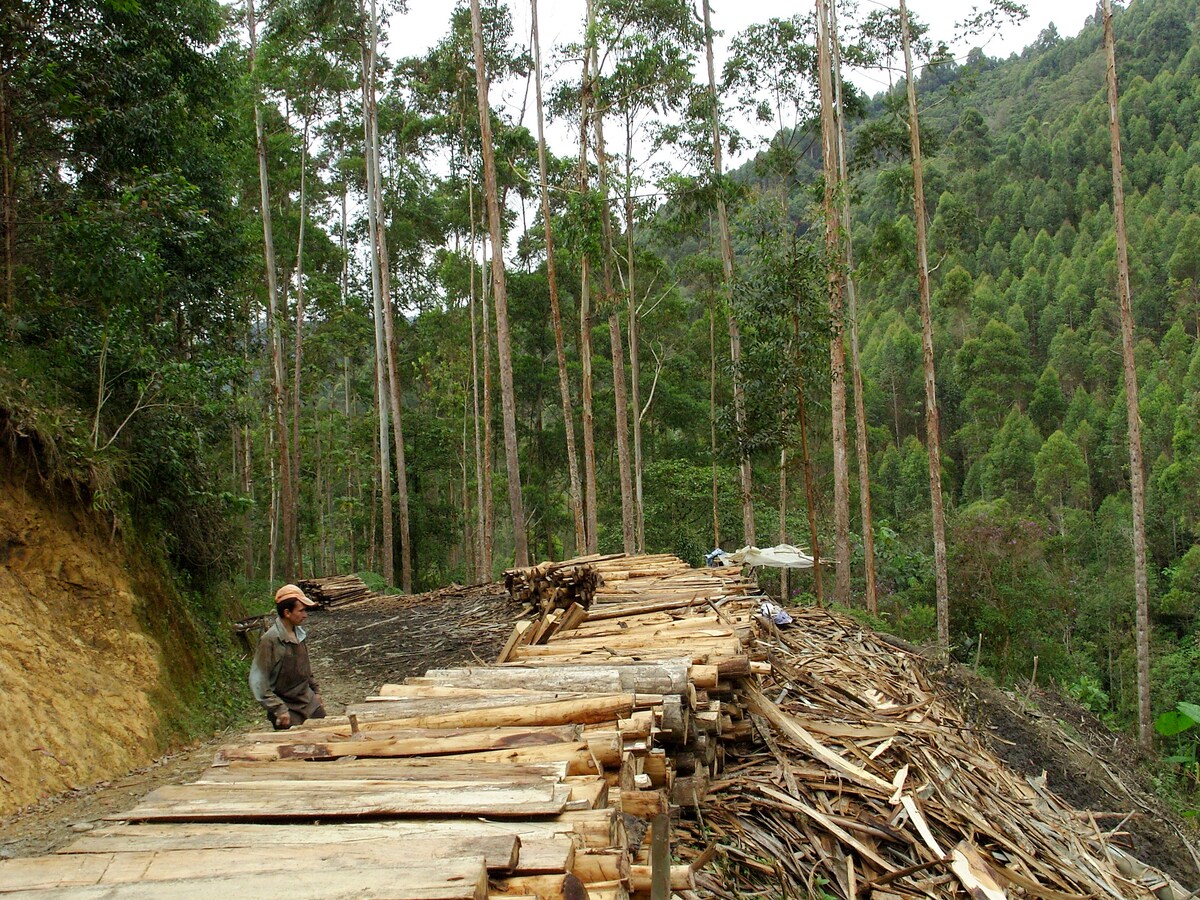 Termales Vacation Rentals u0026 Homes - Risaralda, Colombia  Airbnb