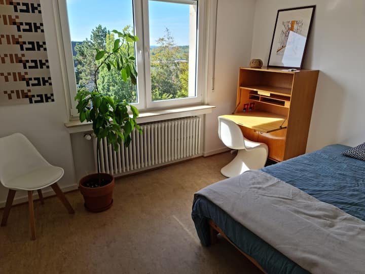 Sunny large 1bedroom apartment in Lux city