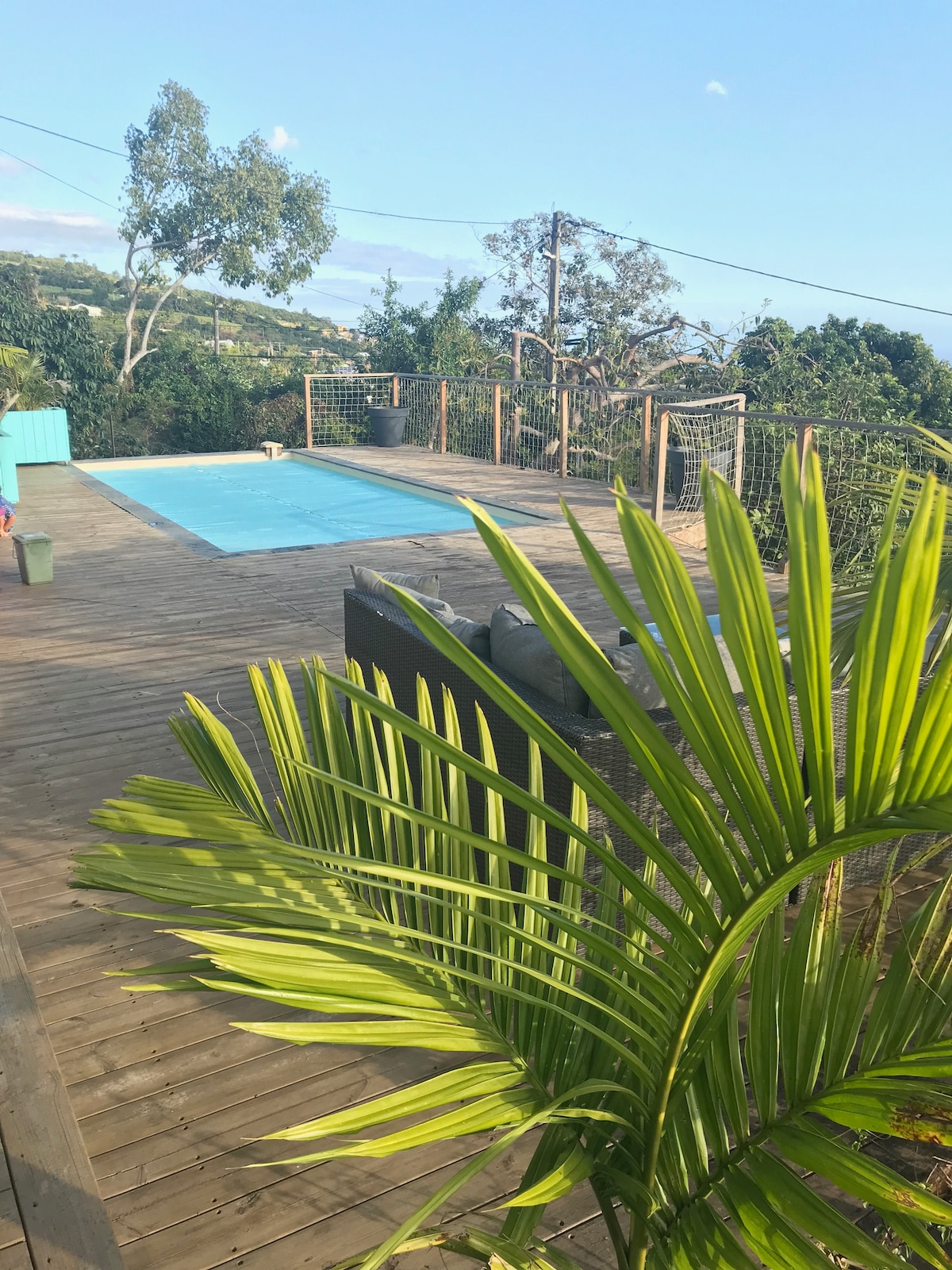 A heated swimming pool is located on a wooden deck, surrounded by greenery. The area is enhanced by palm leaves in the foreground, and a backdrop of distant hills is visible under a clear blue sky.