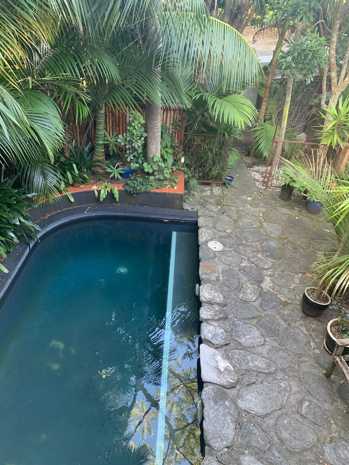 A private swimming pool is framed by lush tropical plants, providing a serene atmosphere. The pool features a dark stone border, and stepping stones lead along the side through a garden area, enhancing the natural surroundings.