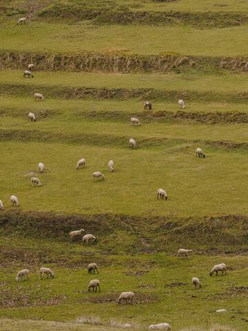 10th century medieval Castle gallery image 4