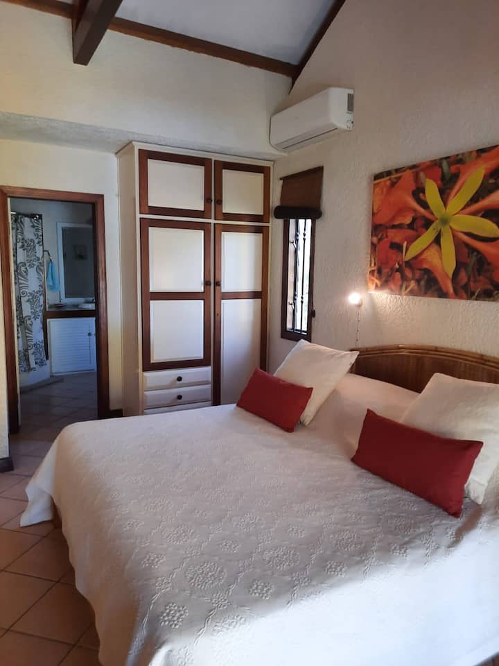 Glavna spavaća soba sa spojenom kupaonicom