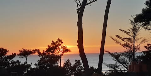 Popular Airbnb listing: 22 m2 1 bedroom sea view apartment with balcony in Saint Brevin Les Pins