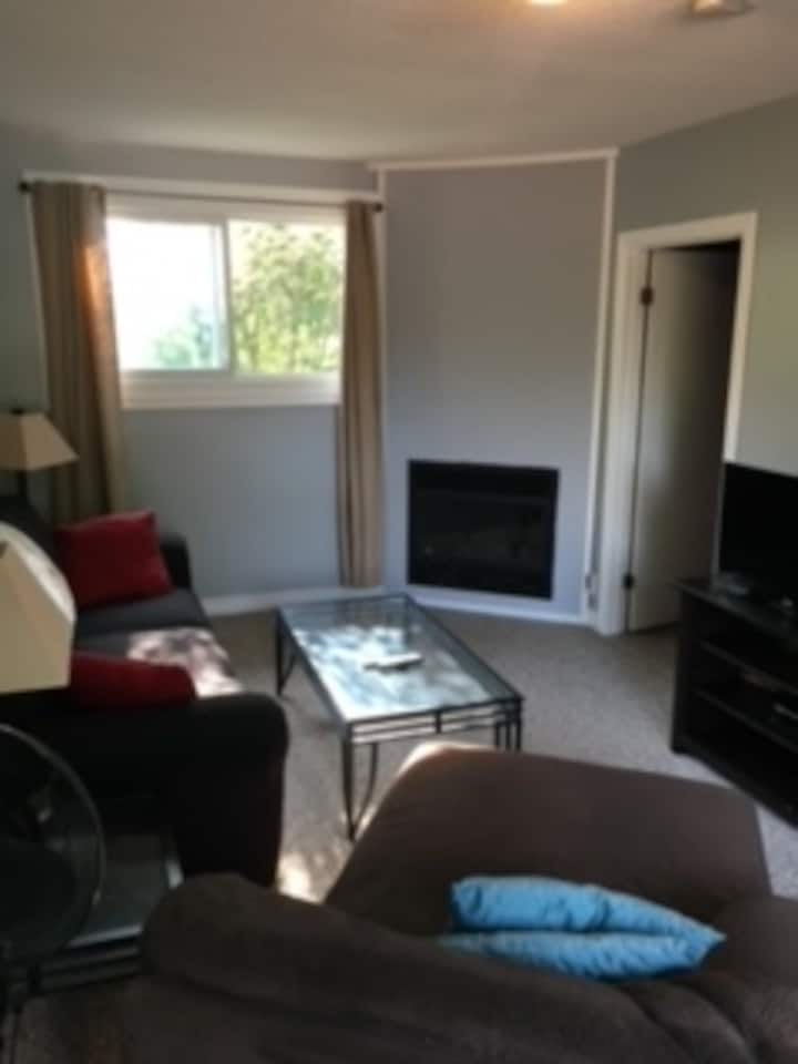 Apartment Near University, Hospitals & Downtown - London, Ontario