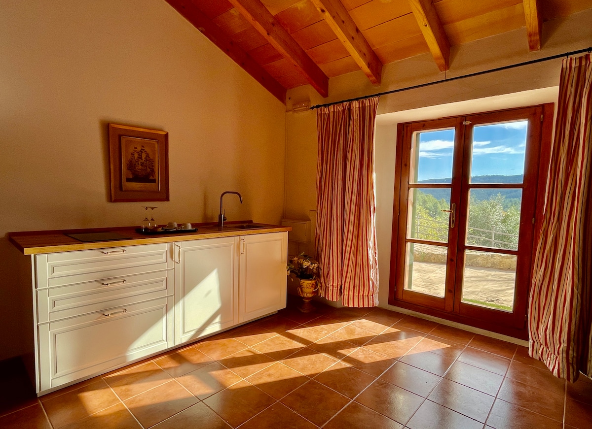 Finca Aparthotel Son Pont (2) 3