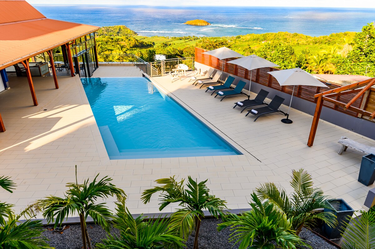 A spacious outdoor area features a heated swimming pool surrounded by sun loungers and umbrellas. Lush greenery lines the edge of the pool, while the ocean and a distant island create a scenic backdrop.