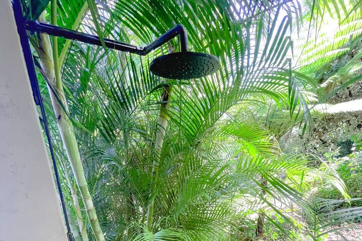 #1 Location BEACH HOUSE in Palm Beach gallery image 5