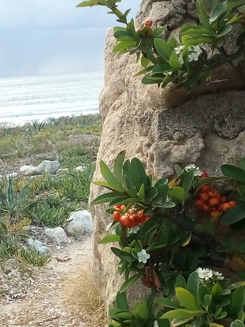 The beach house 10 meters from the sea