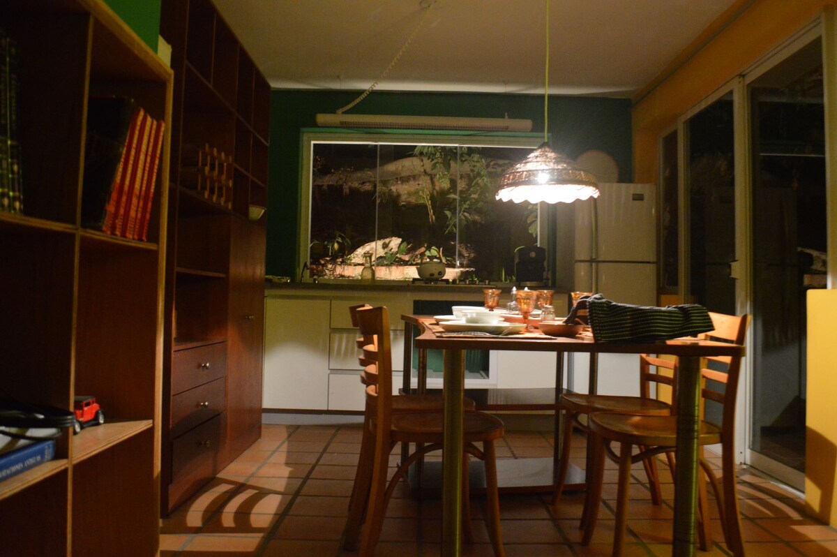 The kitchen area features a central dining table surrounded by wooden chairs, with warm lighting provided by an overhead pendant lamp. Shelving units are displayed along the walls, and large windows allow for views of the greenery outside.