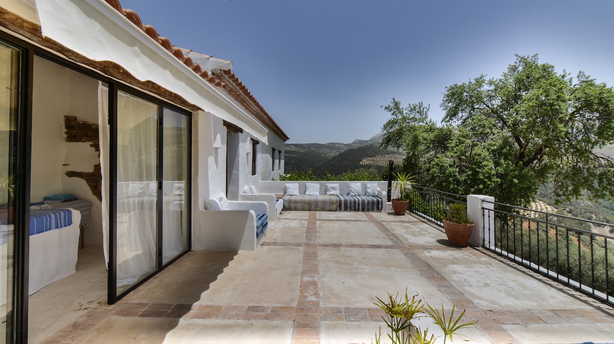 An expansive terrace showcases a seamless blend of indoor and outdoor areas, bordered by a railing. Potted plants and a large tree provide greenery, while mountains rise in the background under a clear blue sky. The sunlit space invites relaxation and a connection with nature.