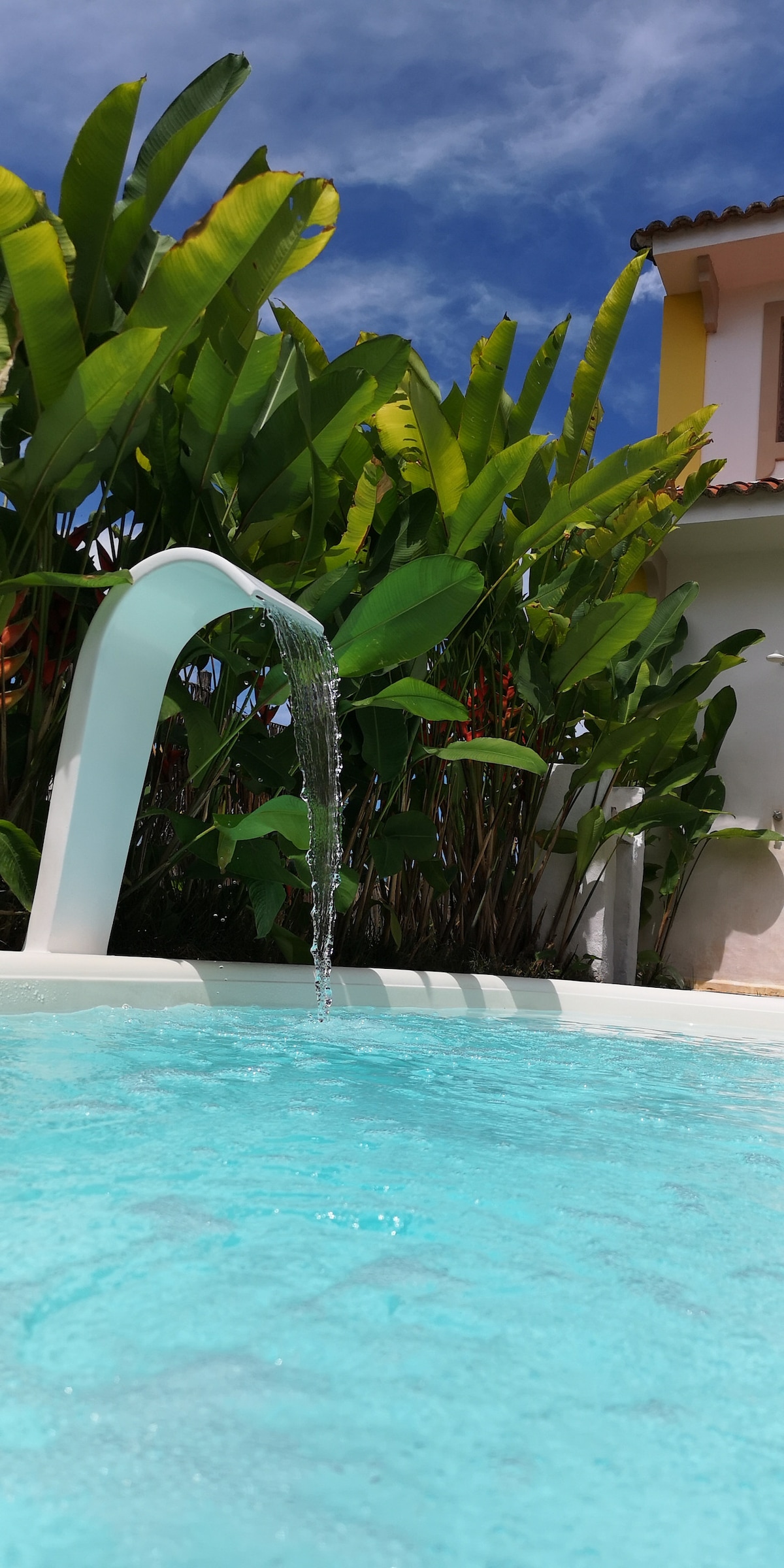 A tranquil pool scene showcases a gentle water feature, with water flowing gracefully into the bright blue water. Lush greenery surrounds the area, enhancing the serenity of the space, while a clear sky provides a natural backdrop.