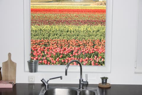 Detached guesthouse between flower fields!