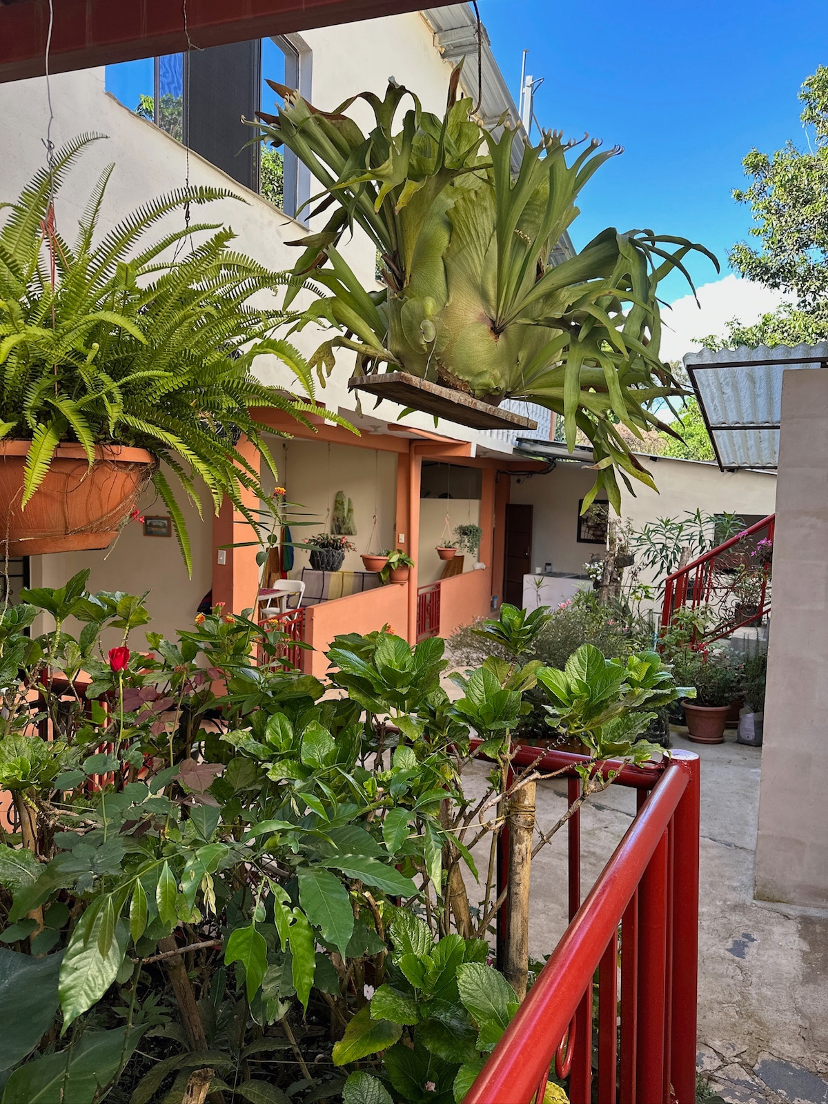 A peaceful courtyard scene is framed by vibrant greenery, featuring potted plants and hanging ferns. There are well-maintained pathways leading to cozy patio areas, where artistic decor enhances the environment. A clear blue sky is visible above, providing natural light to the tranquil space.