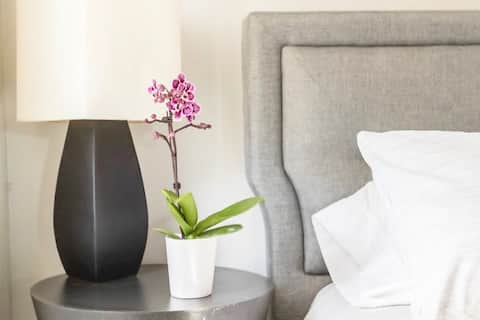 Artist's Loft - Central A2 Dntown