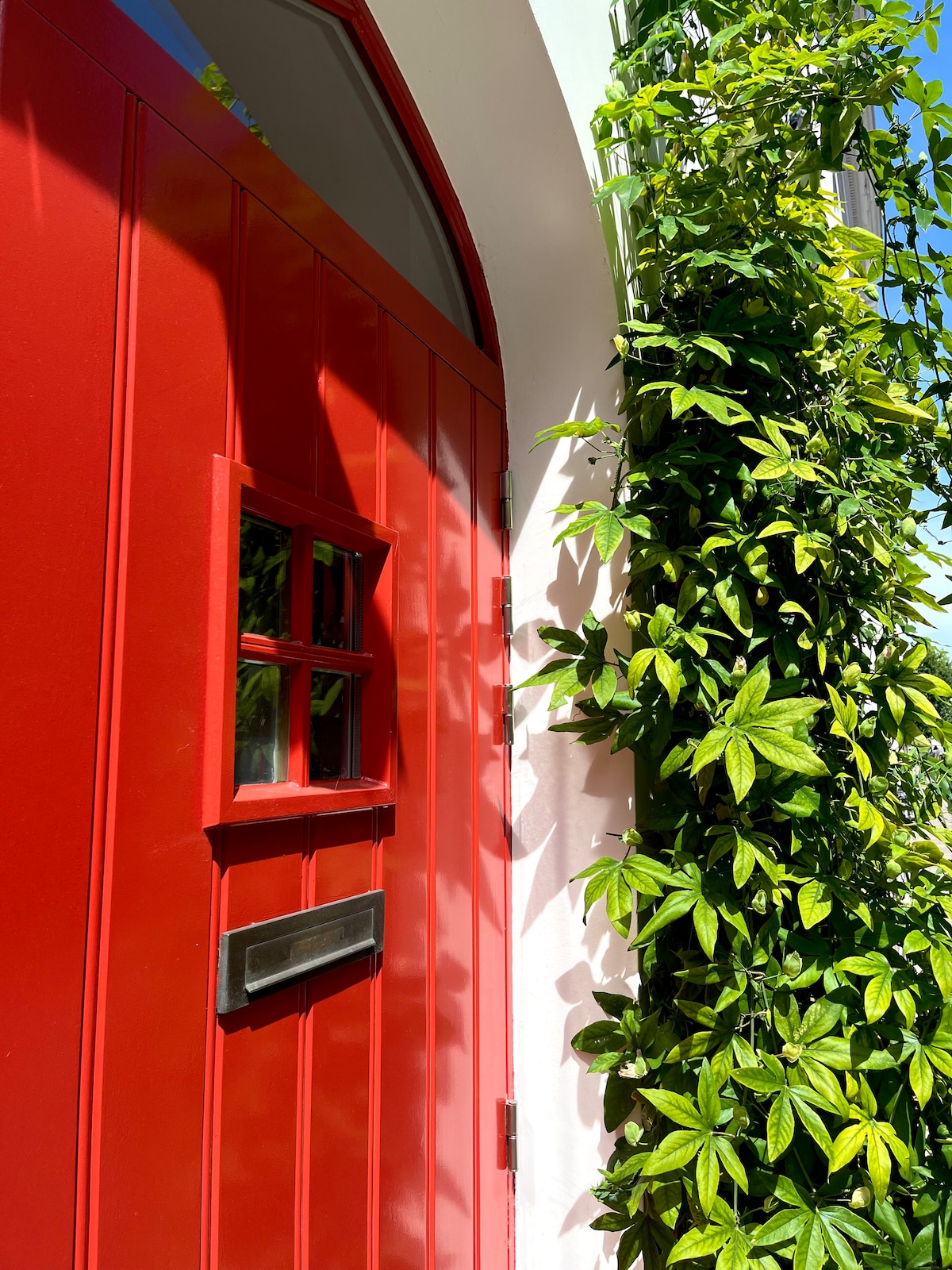A vibrant red door with a small window is partially shaded by lush green foliage. Sunlight casts gentle shadows on the wall, enhancing the welcoming entrance to the cottage.