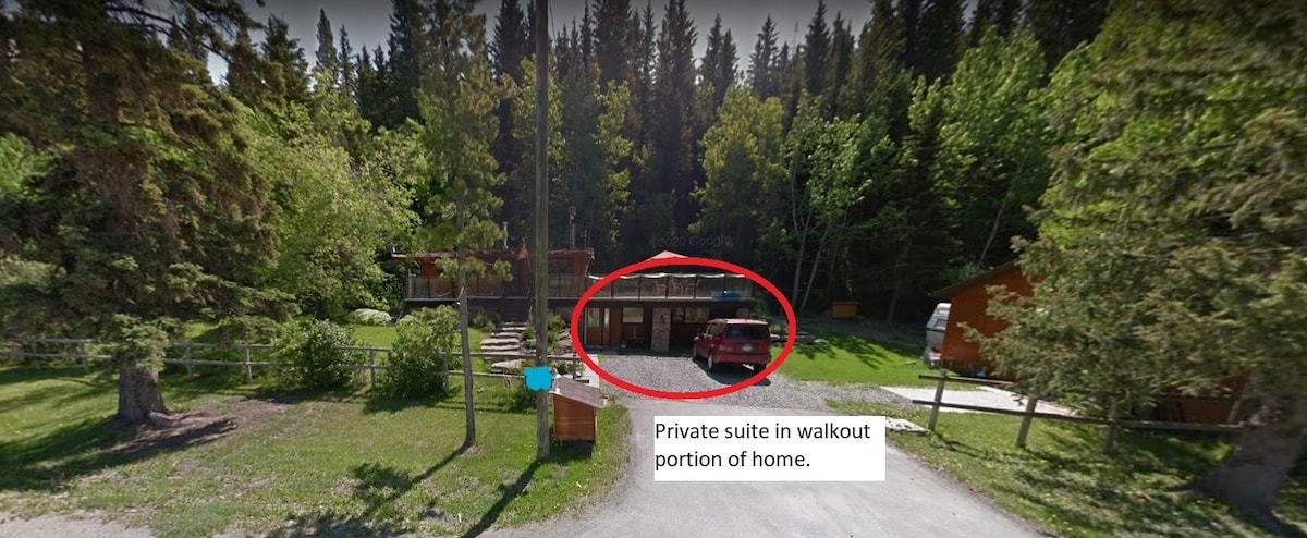 A walkout suite is highlighted within the lower portion of a home surrounded by lush trees. A gravel driveway leads to the entrance, offering a sense of seclusion. A vehicle is parked outside, with greenery framing the serene setting.