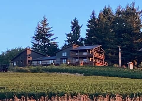Balanza Vineyard Guest House