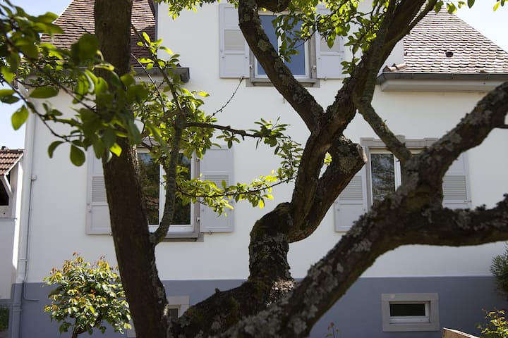 Maison Calme Et Spacieuse Près Du Parlement 200 M² - La Wantzenau