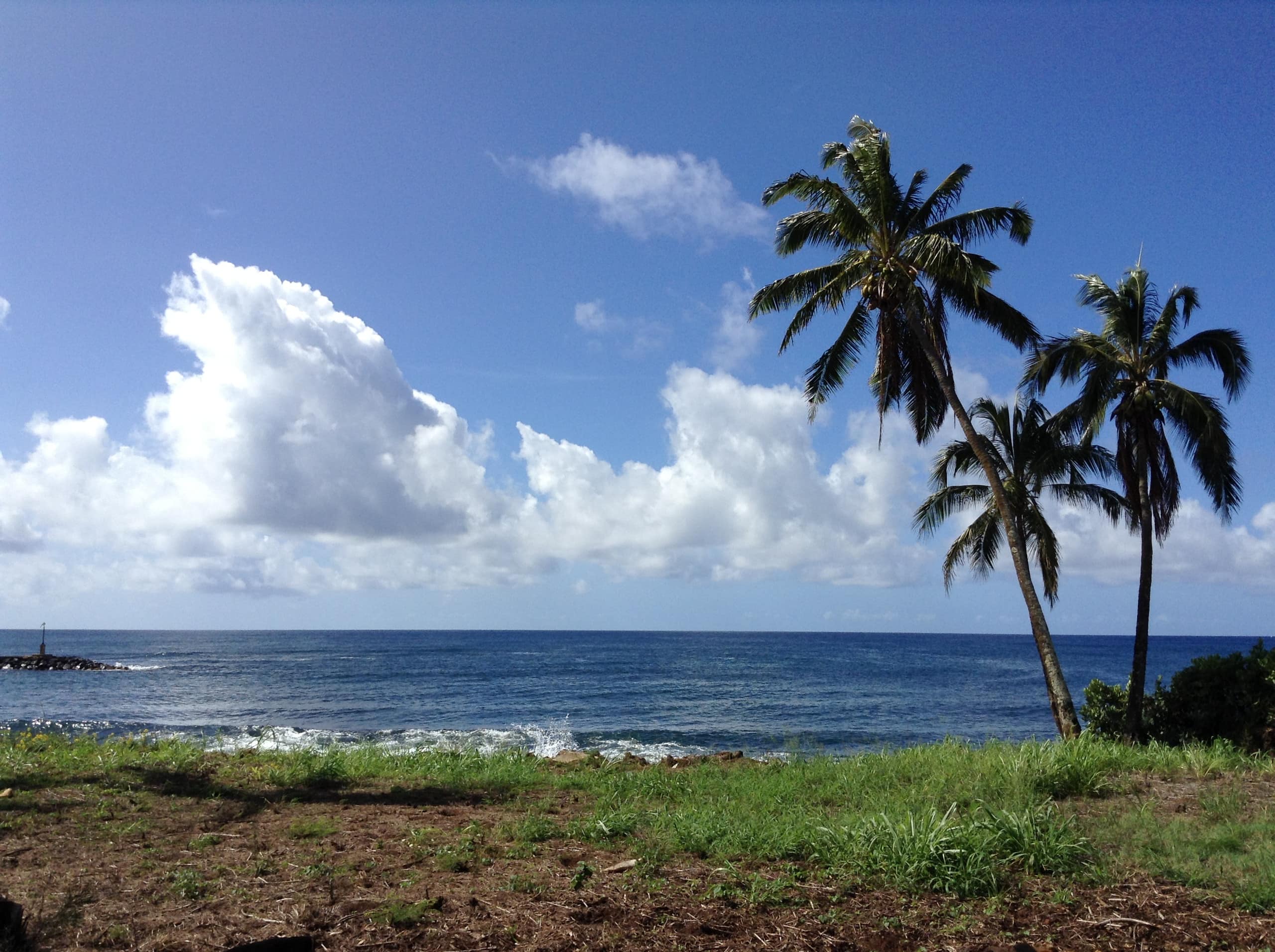 # 145 Great direct ocean front ground level unit. - Photo 8