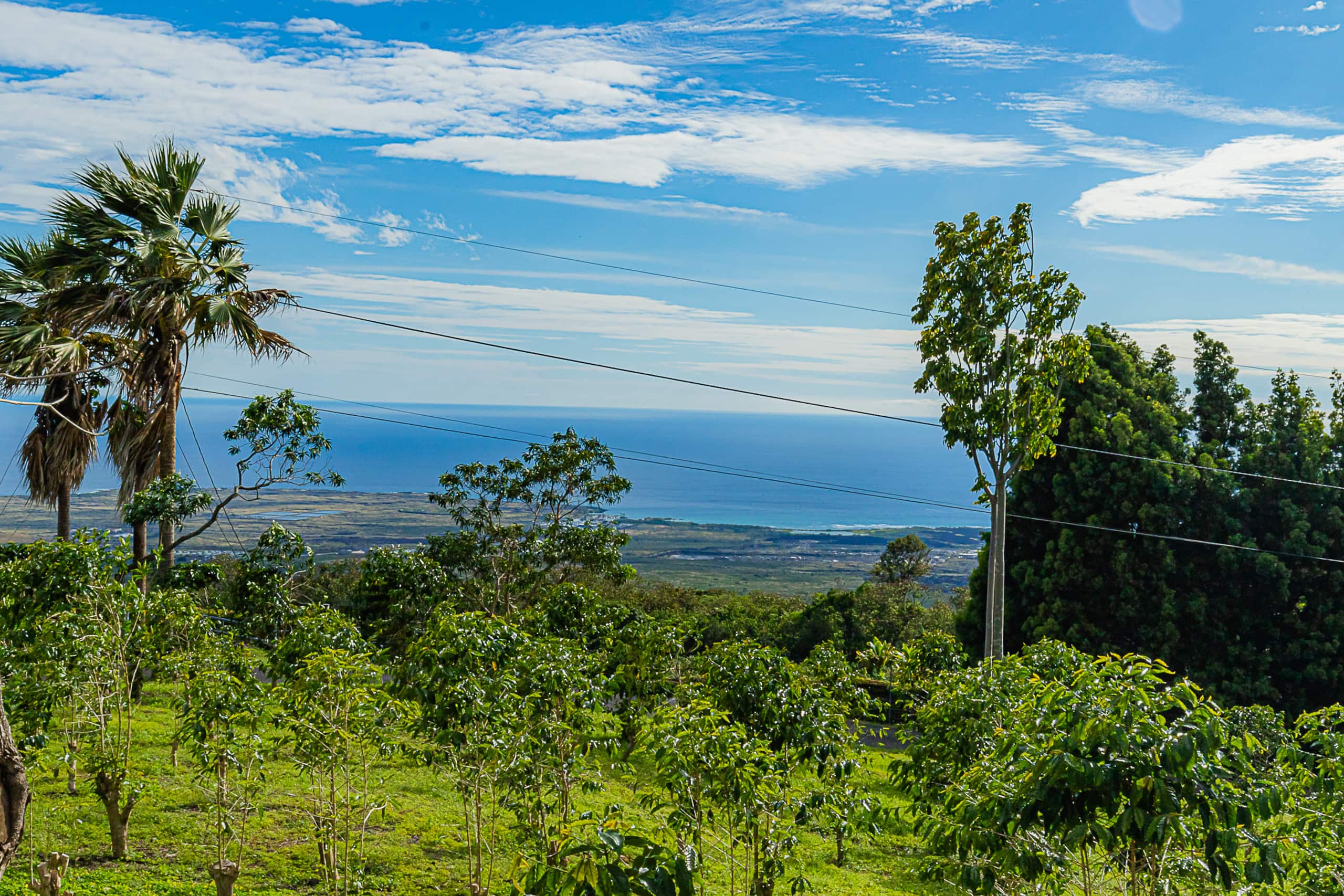 Radiant Ocean View Cottage on a Coffee Farm. Very Private. - Image 32