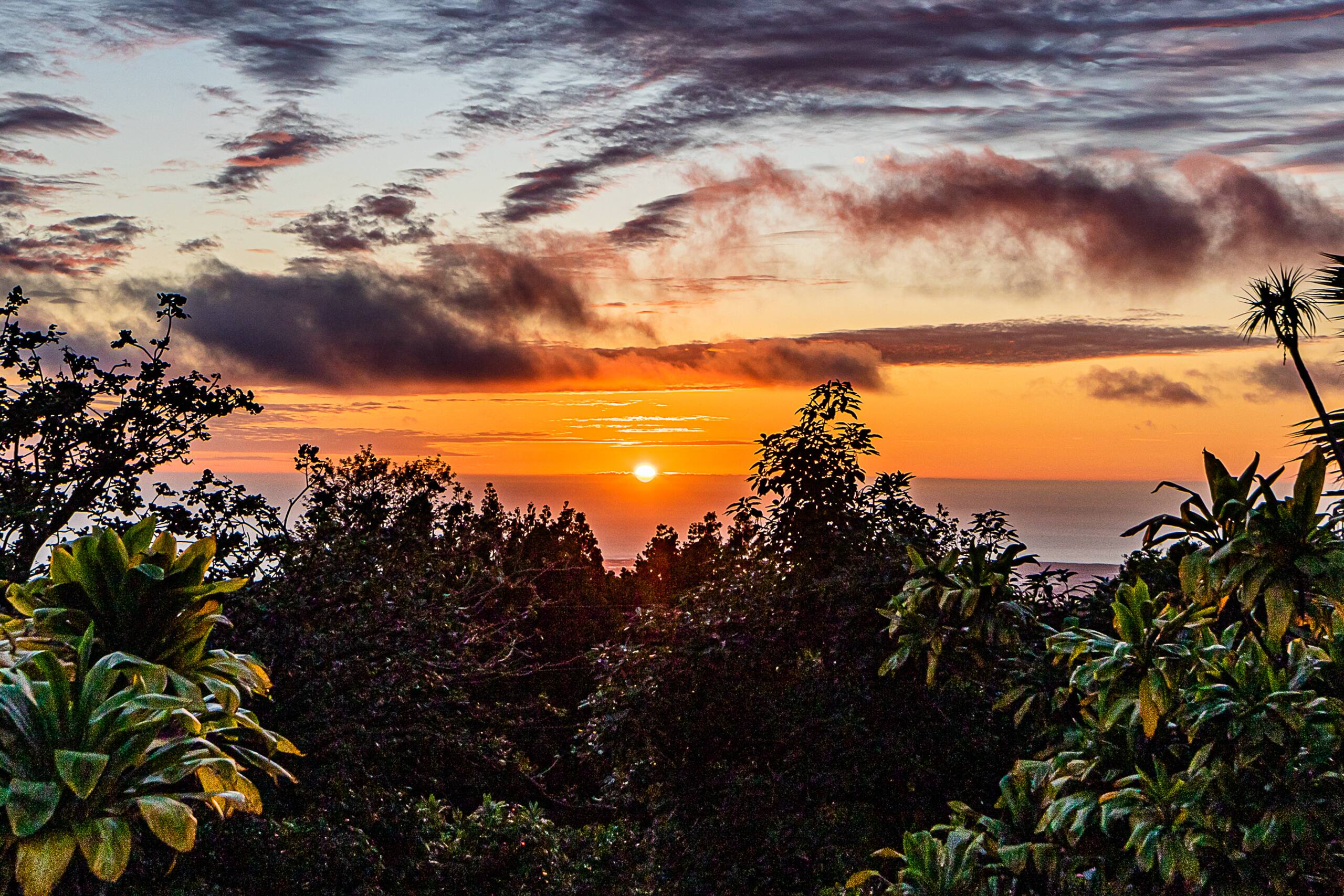Radiant Ocean View Cottage on a Coffee Farm. Very Private. - Image 49