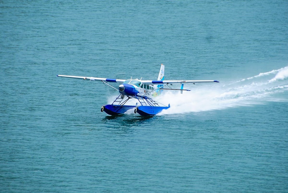 A seaplane is depicted gracefully landing on calm waters, leaving a trail of white spray in its wake. The aircraft, painted in blue and white, contrasts with the serene, shimmering surface of the water, creating a visual of movement and tranquility.
