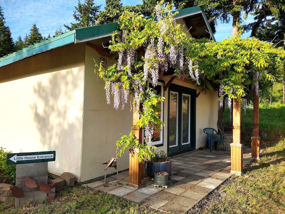 The entrance to the little house is framed by a wooden pergola adorned with cascading wisteria, creating a welcoming atmosphere. A paved walkway leads to large glass doors, flanked by planters, with a sign marking the entrance. Surrounding grass and trees provide a natural setting.