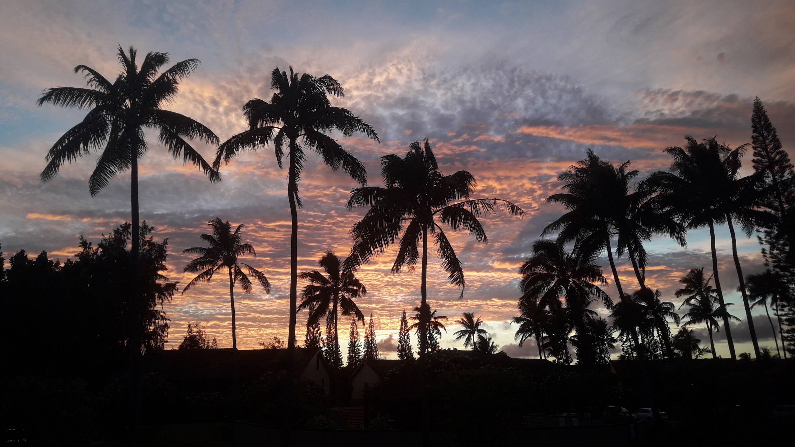 Turtle Bay Retreat: Boho Bliss on the North Shore - Image 14