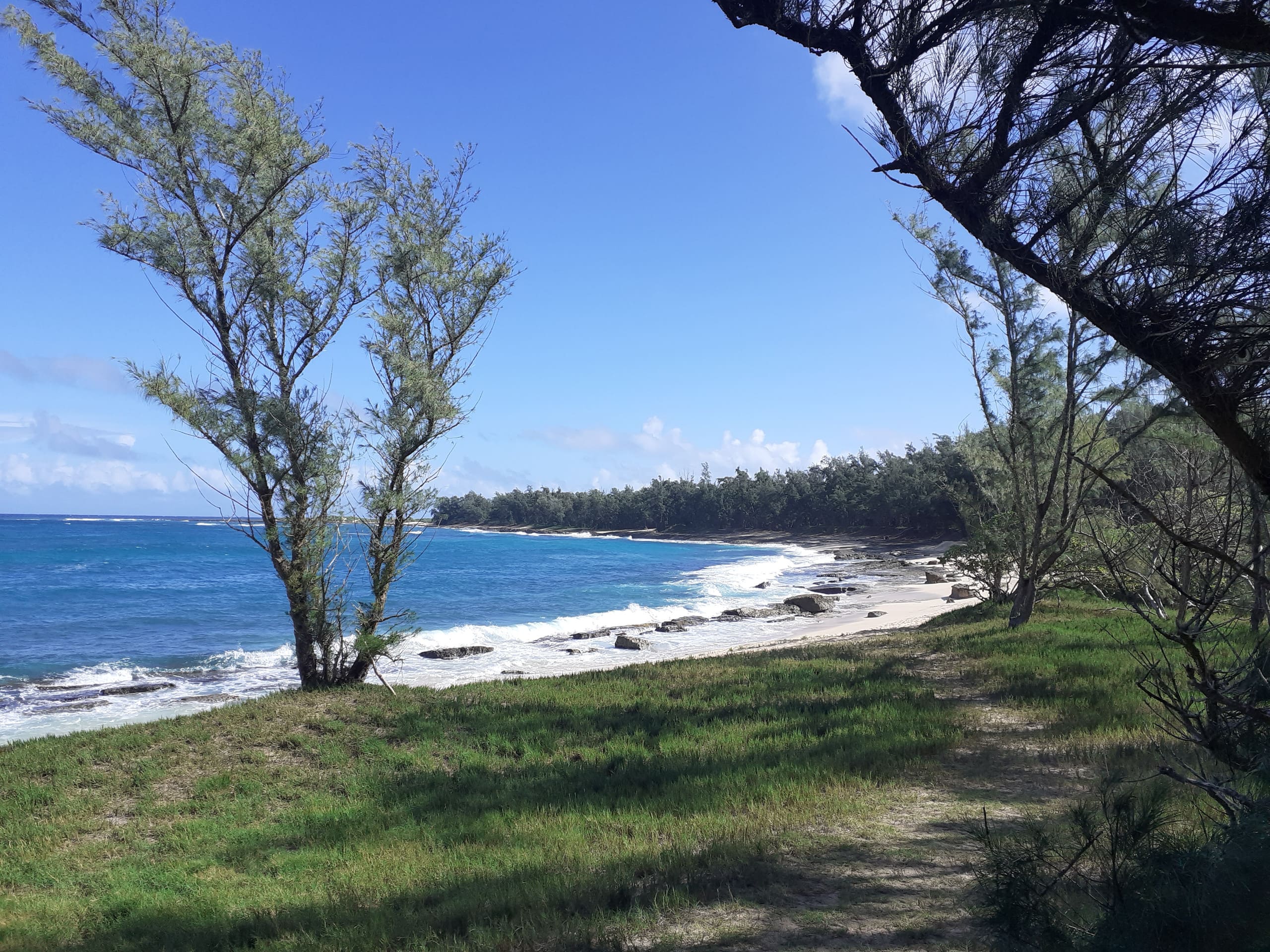 Turtle Bay Retreat: Boho Bliss on the North Shore - Image 13
