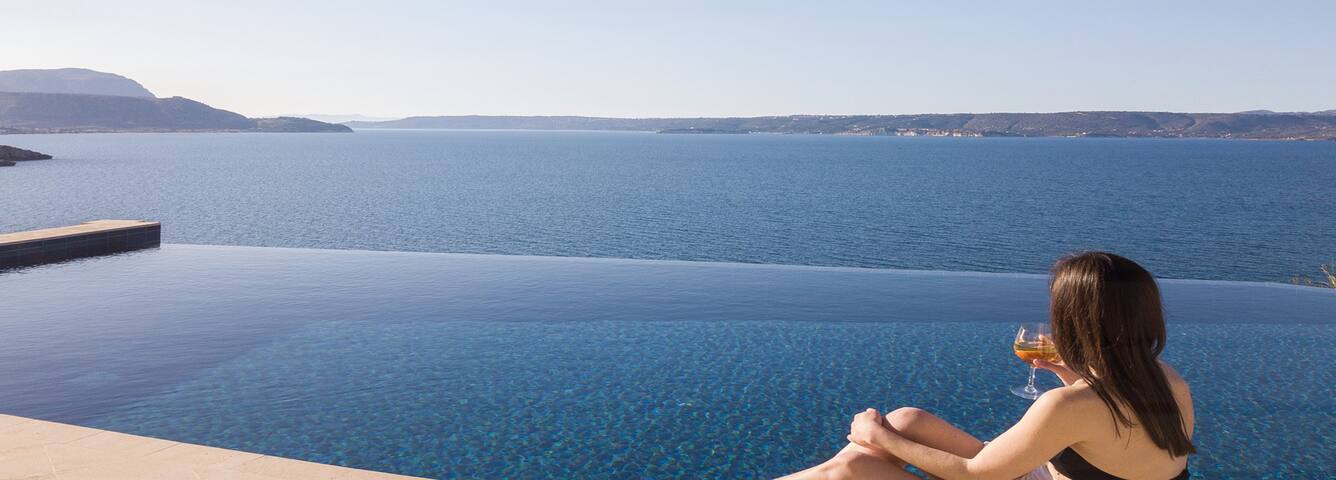 SALACIA gallery image 5