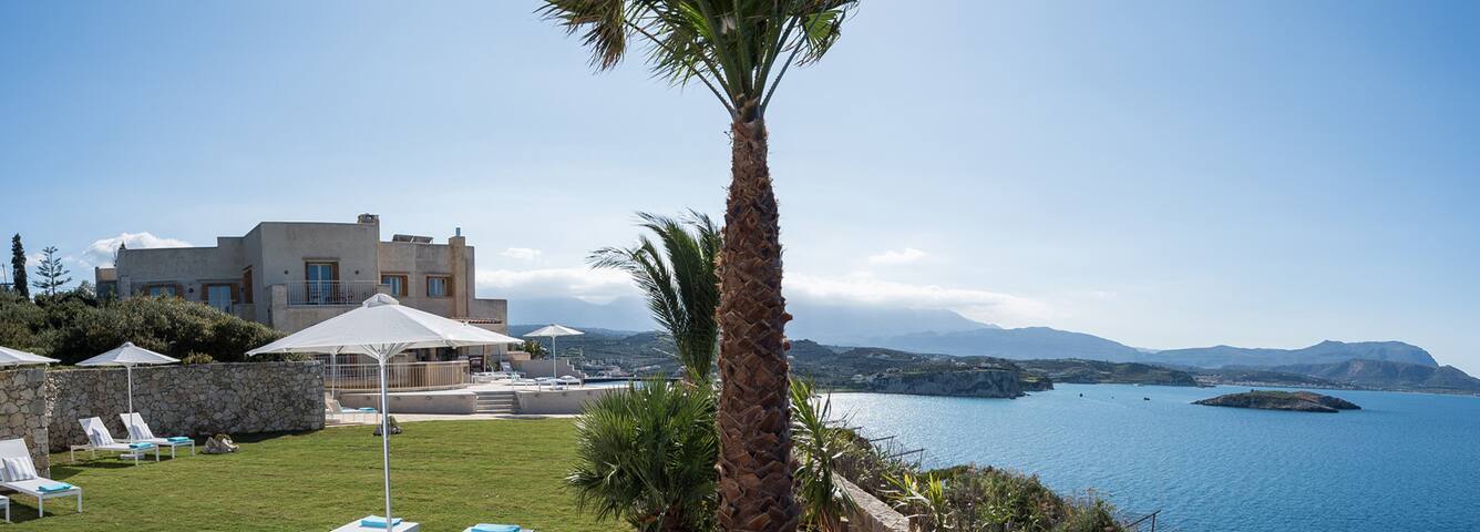 SALACIA gallery image 4