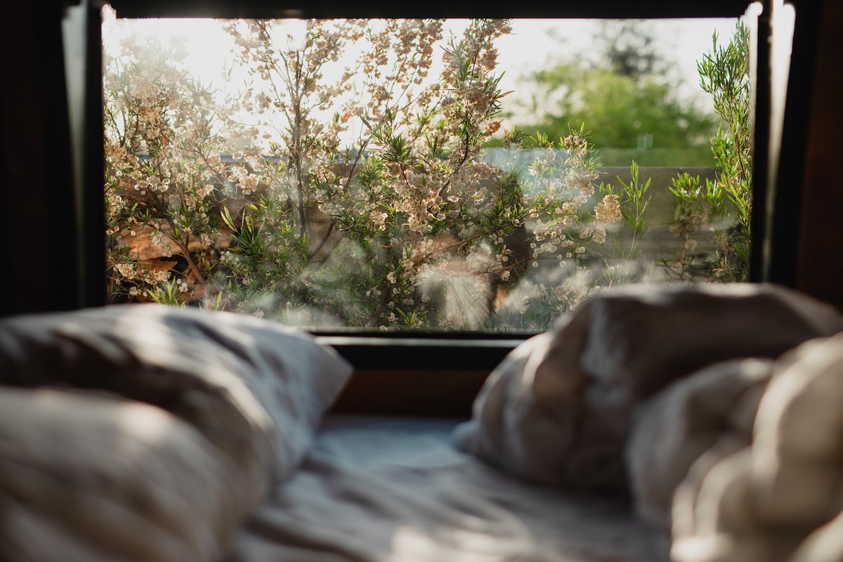 Perfect light in the Airstream all day long. View from the bed. We only use luxurious all cotton linens, and everything is professionally washed for every guest. 