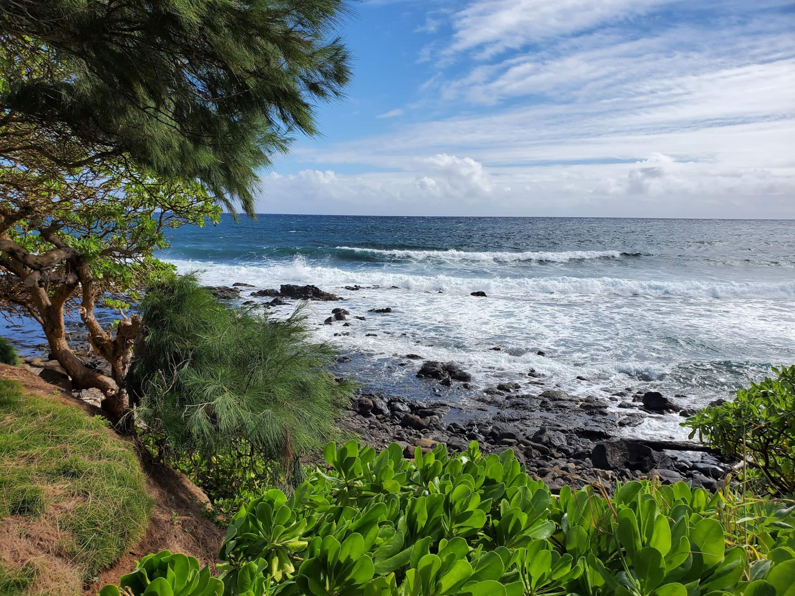 2 Bedroom, 2 Bath w/Private Lanai 5 Min to Ocean - Photo 17