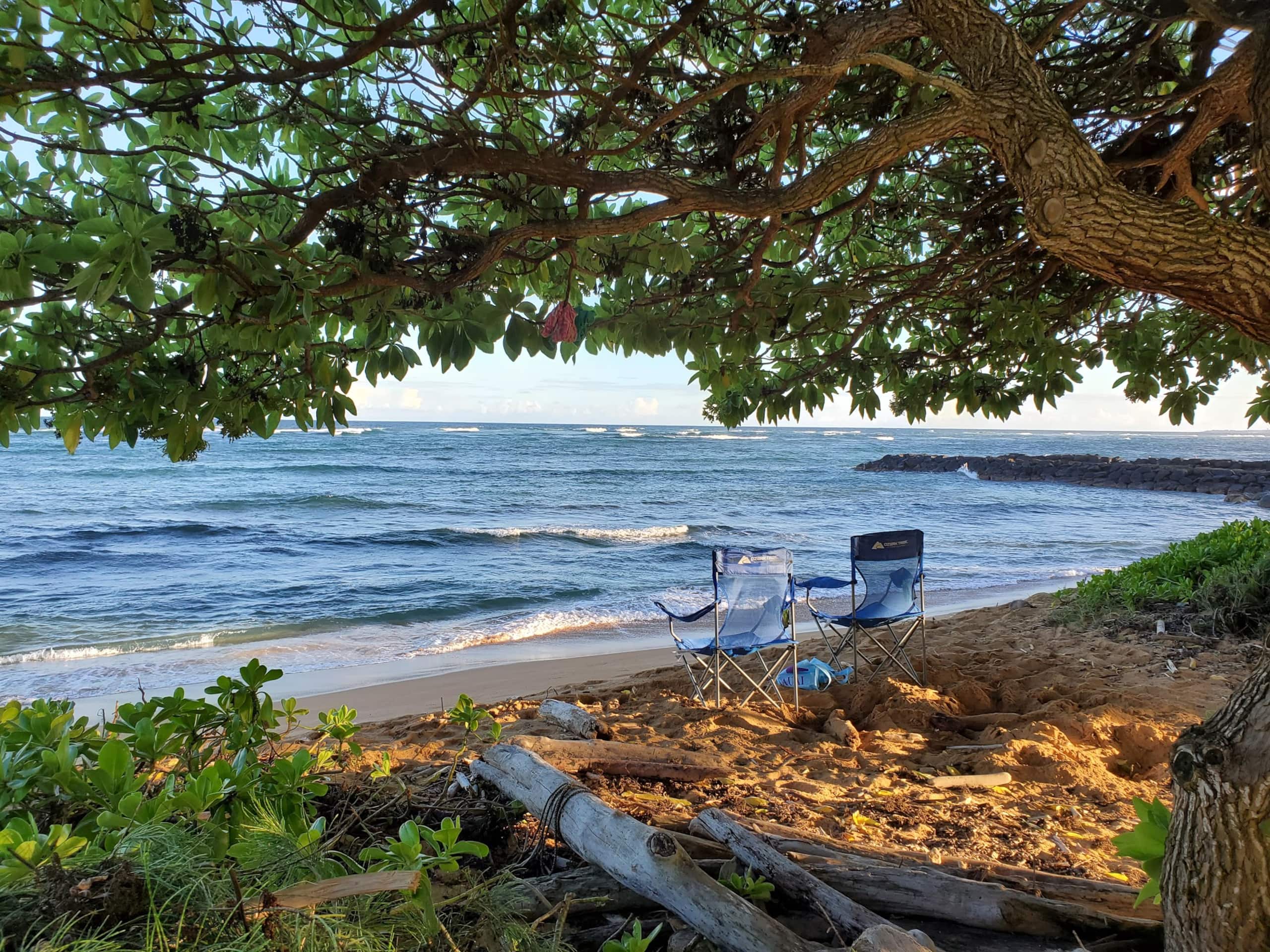 2 Bedroom, 2 Bath w/Private Lanai 5 Min to Ocean - Photo 19