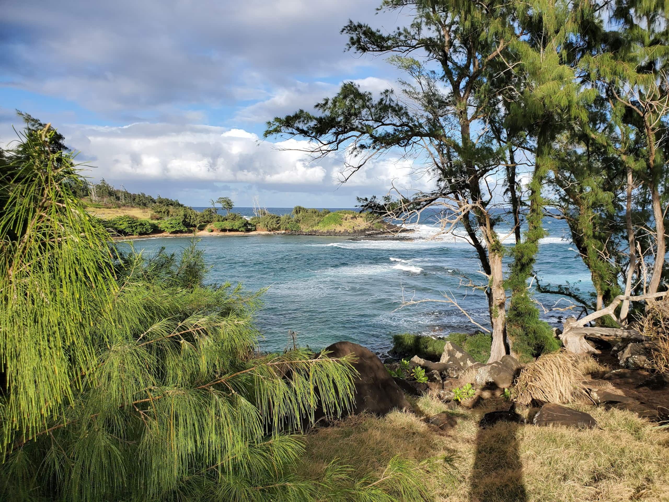 2 Bedroom, 2 Bath w/Private Lanai 5 Min to Ocean - Photo 11