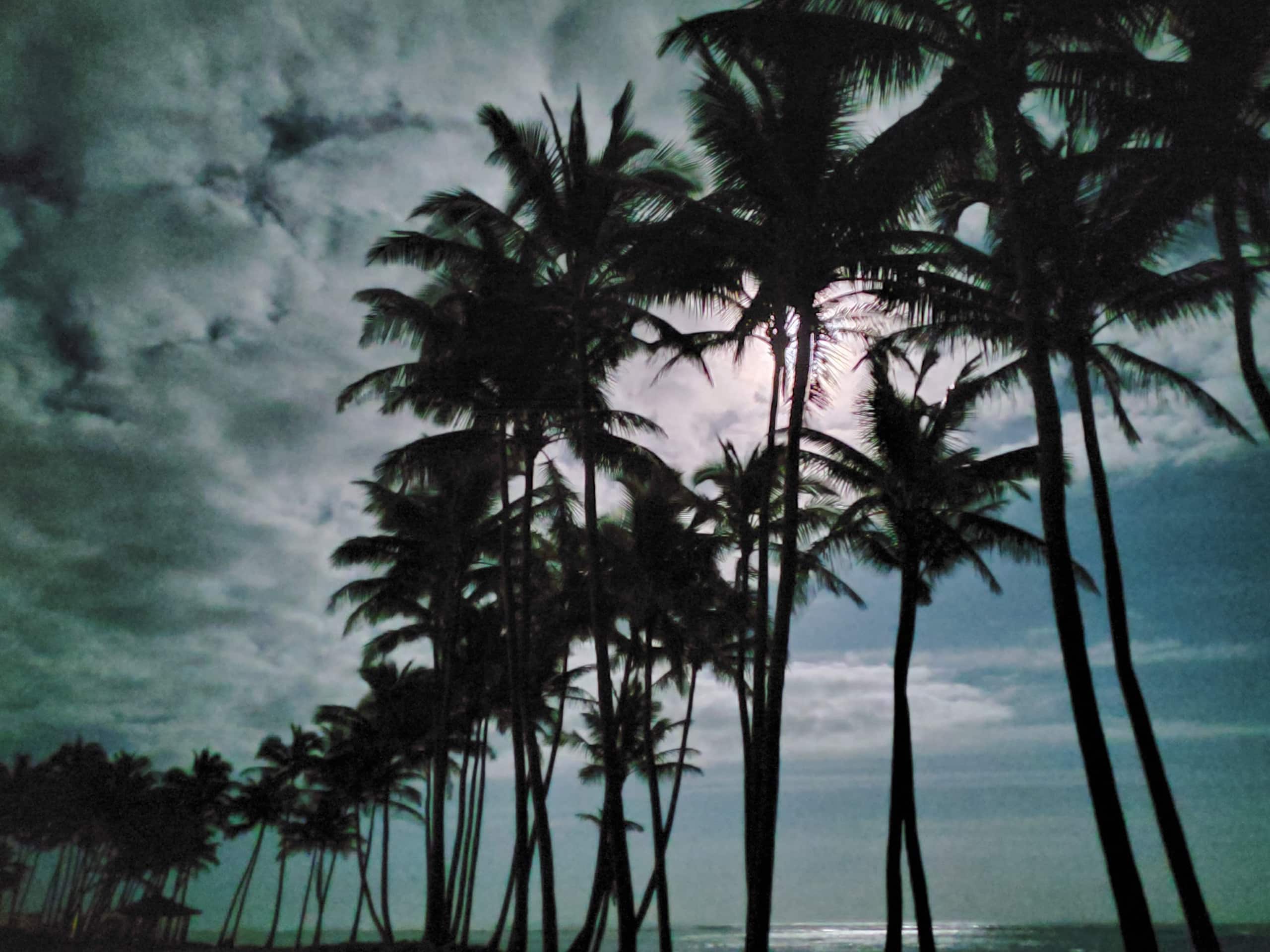 2 Bedroom, 2 Bath w/Private Lanai 5 Min to Ocean - Photo 13