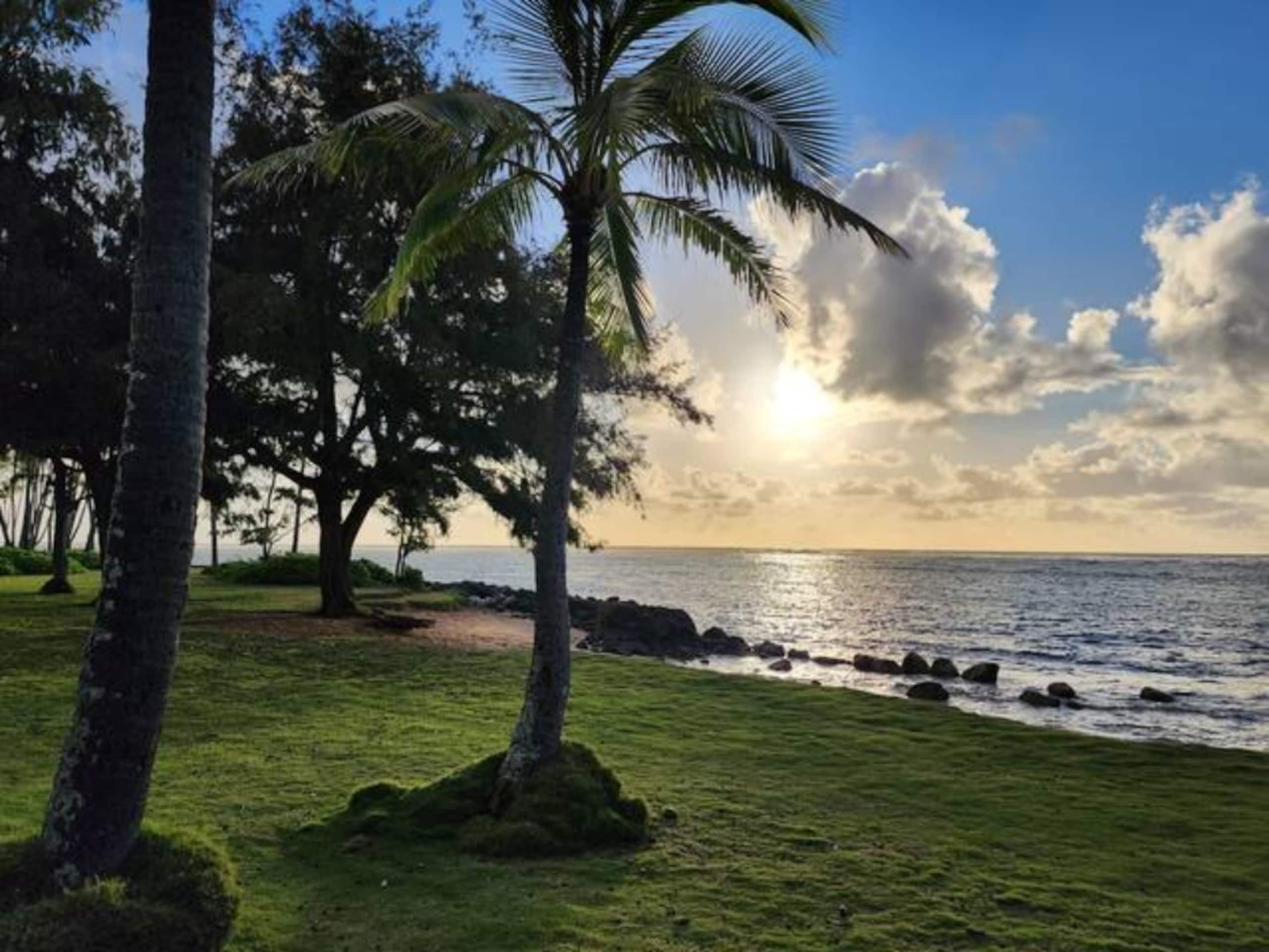 2 Bedroom, 2 Bath w/Private Lanai 5 Min to Ocean - Photo 21