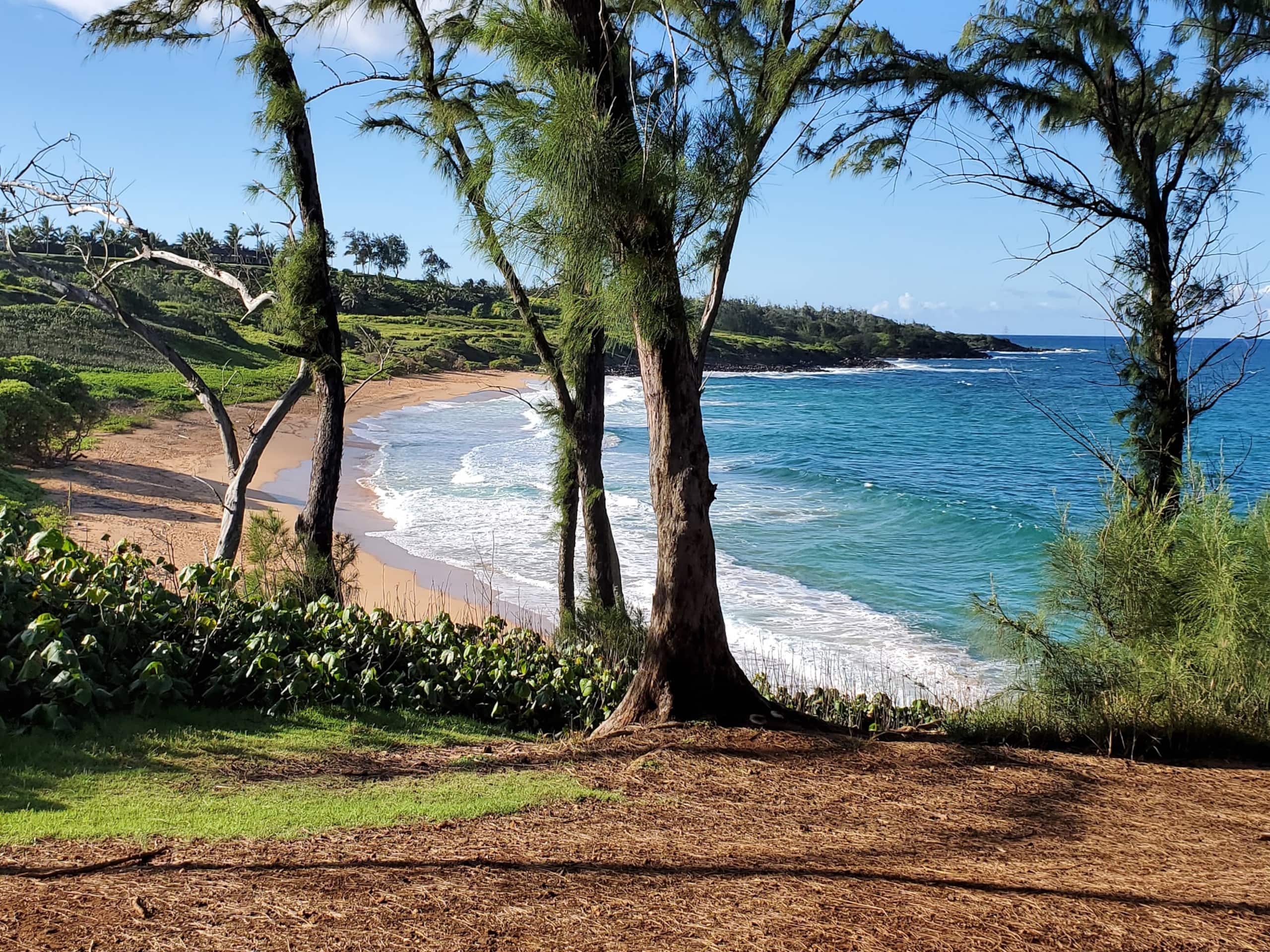 2 Bedroom, 2 Bath w/Private Lanai 5 Min to Ocean - Photo 15