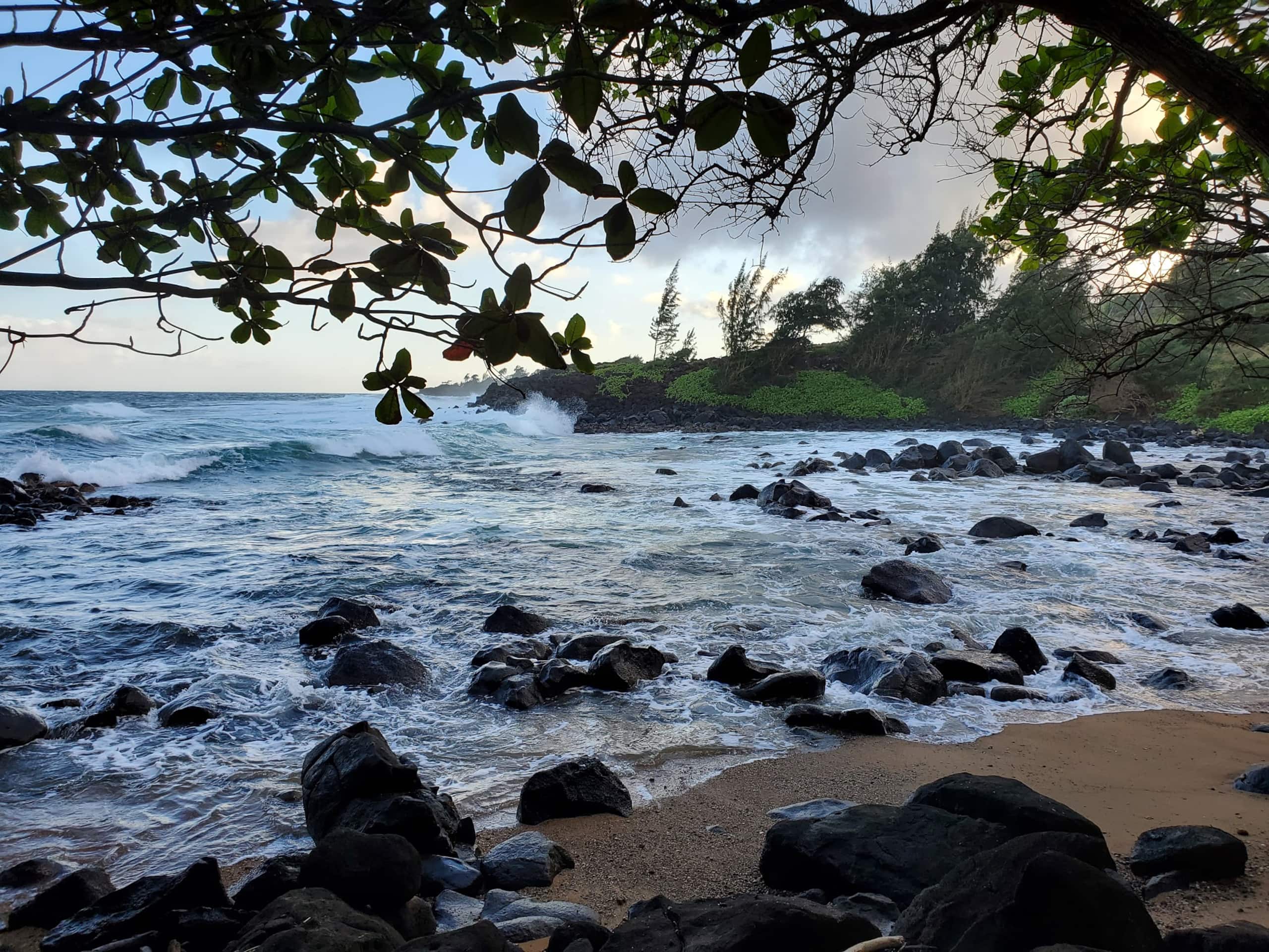 2 Bedroom, 2 Bath w/Private Lanai 5 Min to Ocean - Photo 12