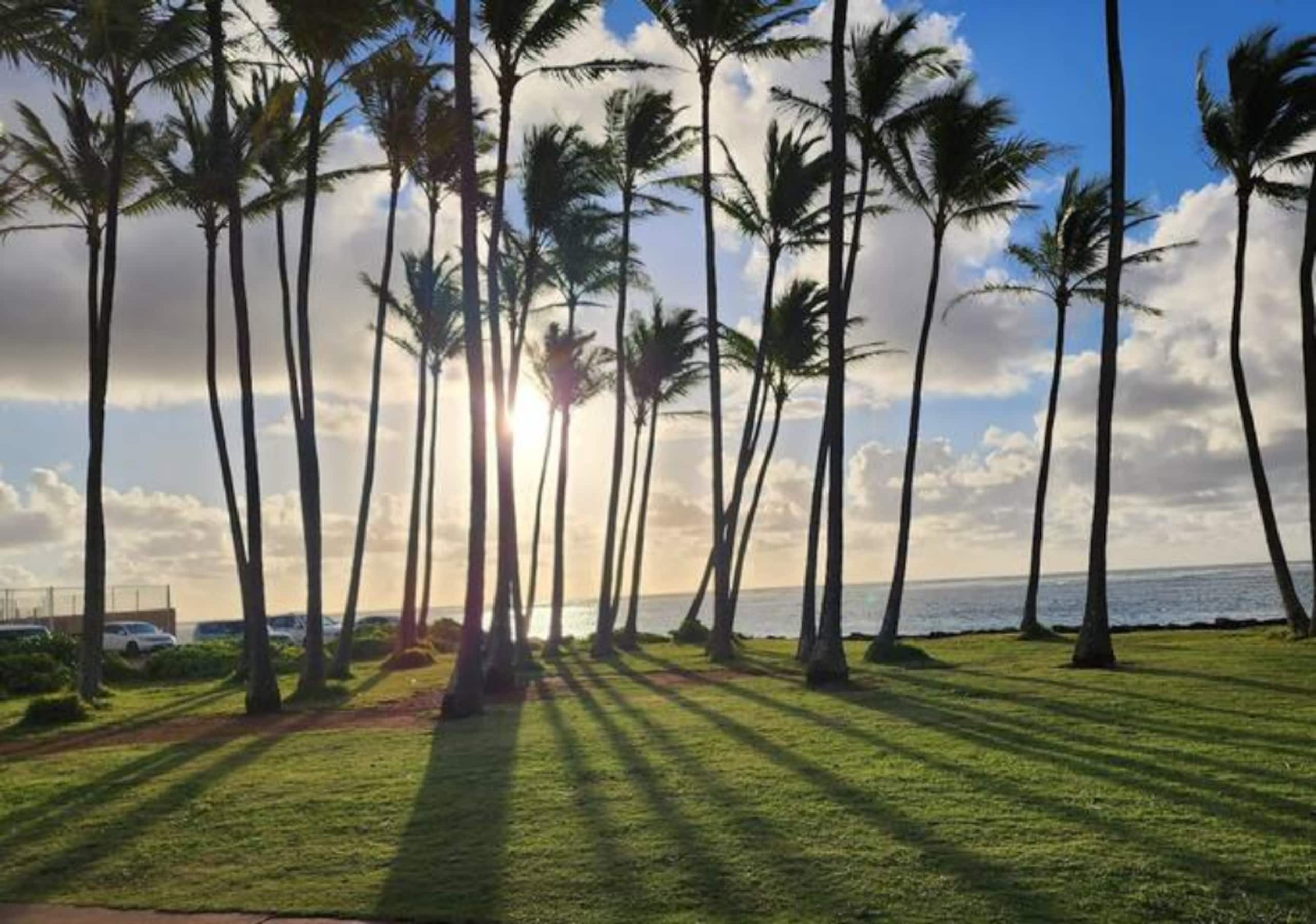 2 Bedroom, 2 Bath w/Private Lanai 5 Min to Ocean - Photo 48