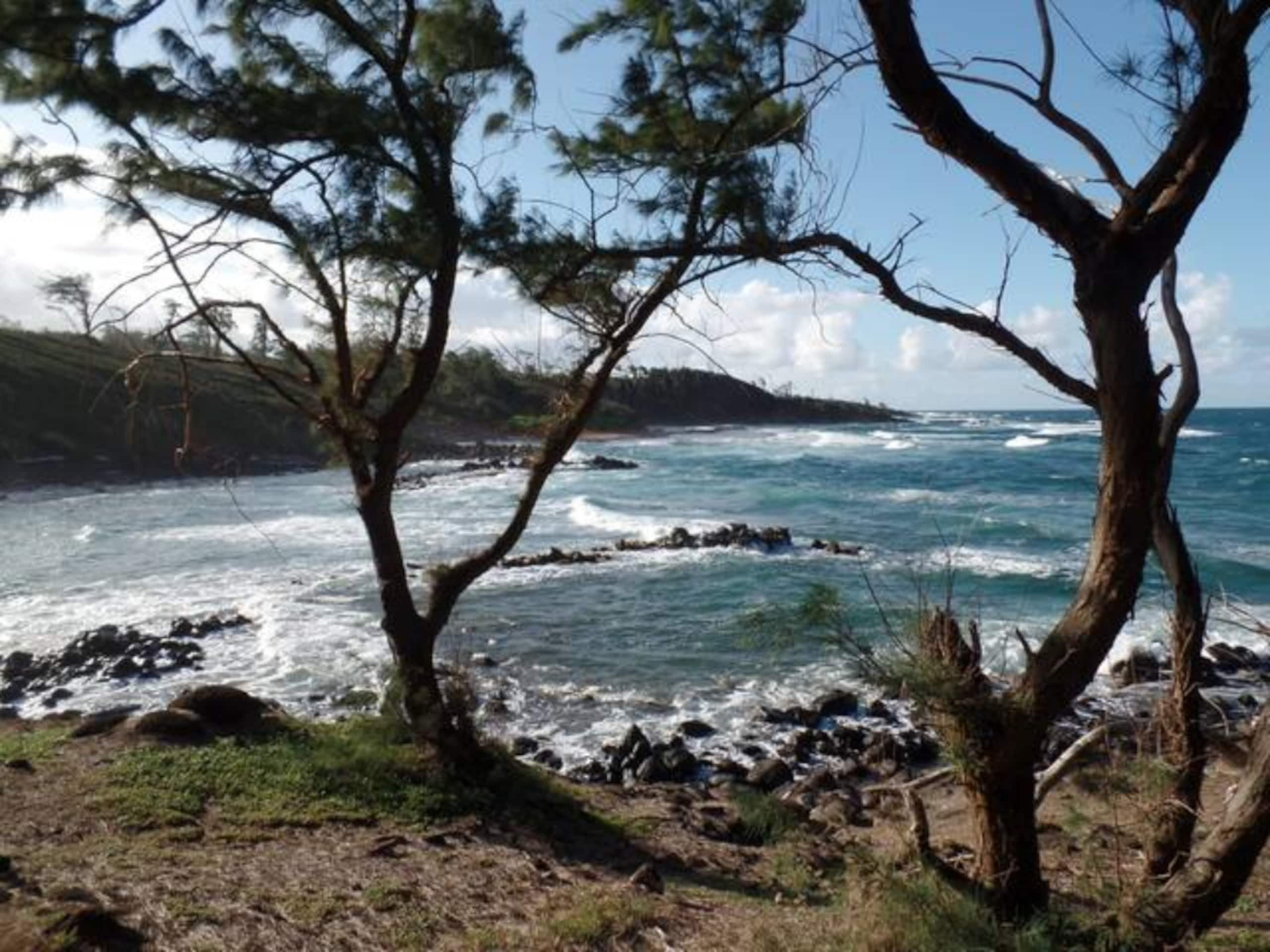 2 Bedroom, 2 Bath w/Private Lanai 5 Min to Ocean - Photo 49