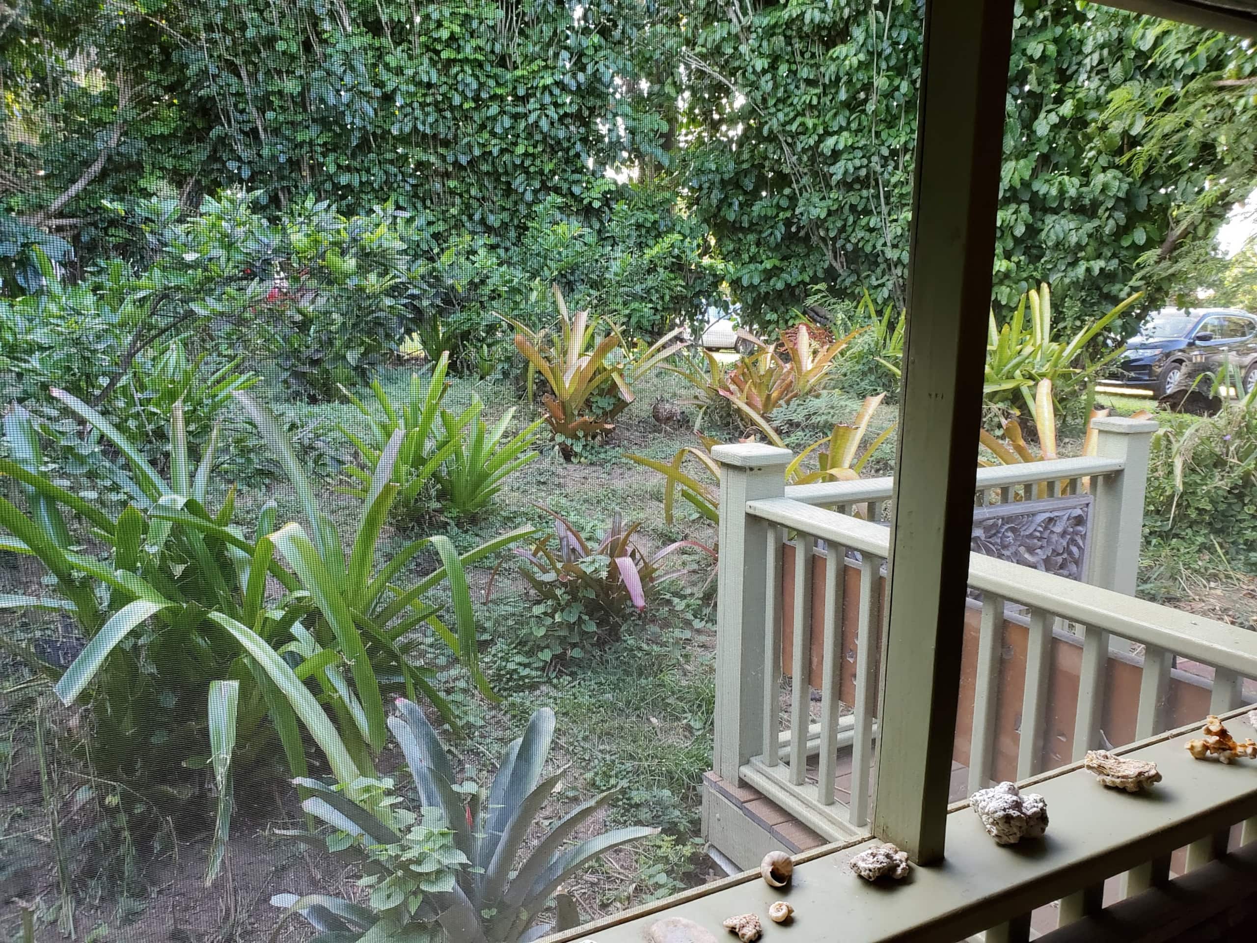 2 Bedroom, 2 Bath w/Private Lanai 5 Min to Ocean - Photo 10