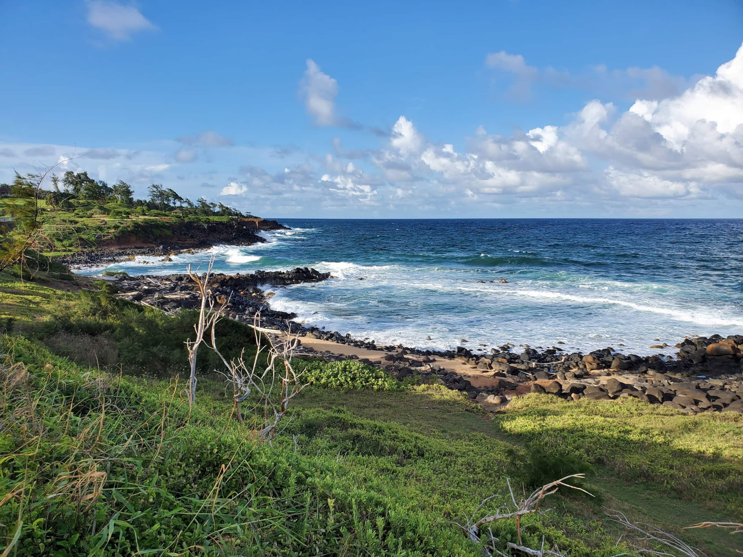 2 Bedroom, 2 Bath w/Private Lanai 5 Min to Ocean - Photo 16