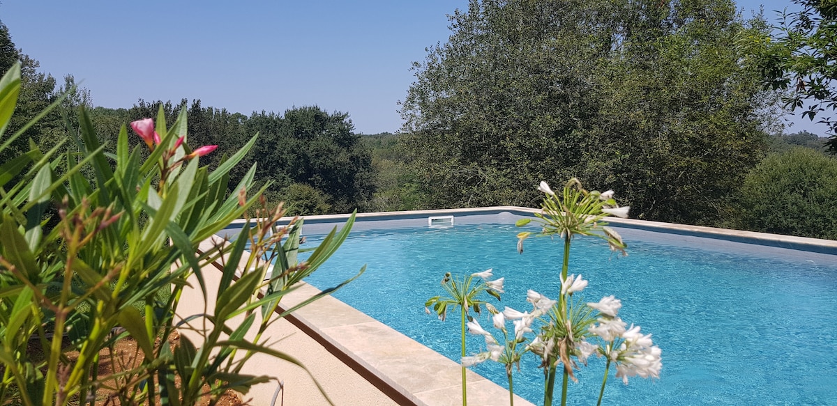 A serene swimming pool is surrounded by lush greenery and colorful flowers, providing a refreshing oasis. The clear blue water reflects the bright sky, while trees create a natural backdrop, enhancing the tranquil environment.