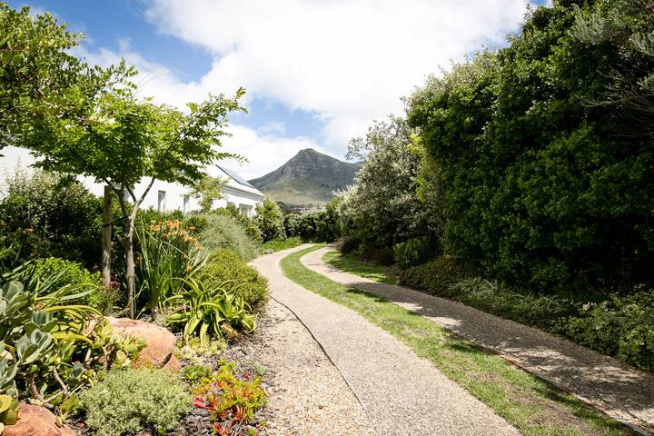 Gorgeous Noordhoek home with stunning sea views gallery image 4